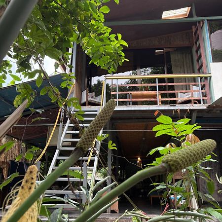 Hotel Orgánico Punta Riel Cahuita Esterno foto