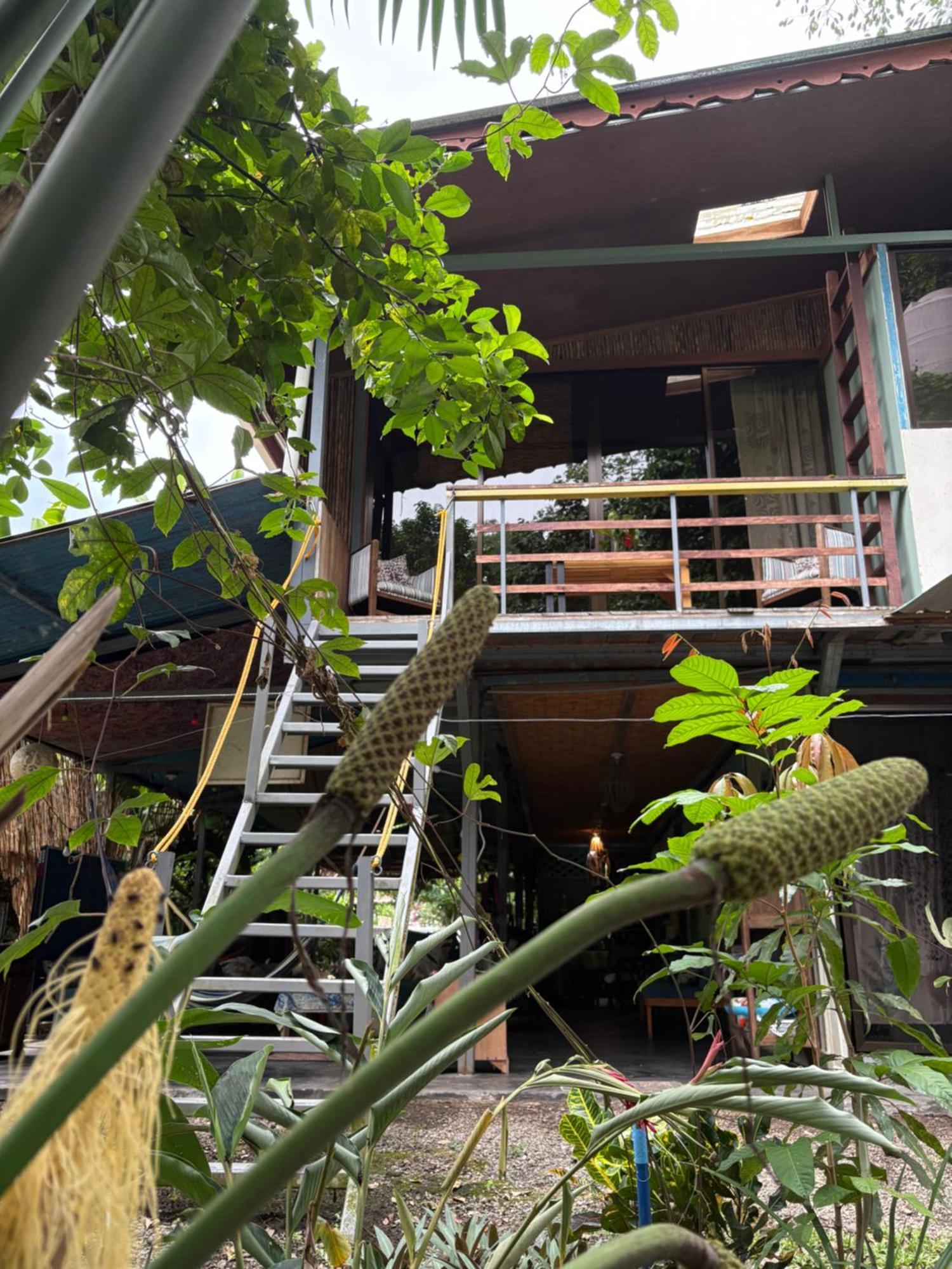 Hotel Orgánico Punta Riel Cahuita Esterno foto