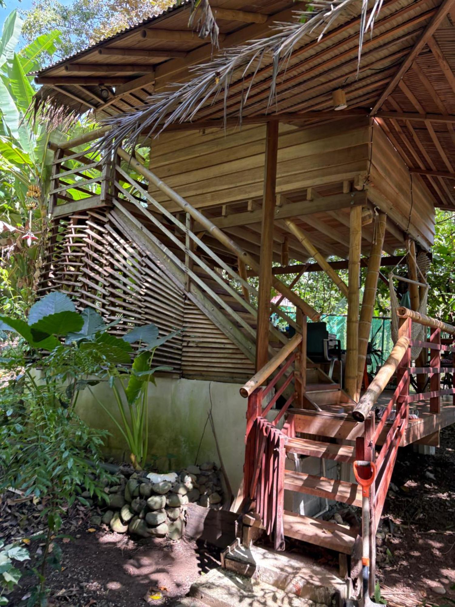 Hotel Orgánico Punta Riel Cahuita Esterno foto