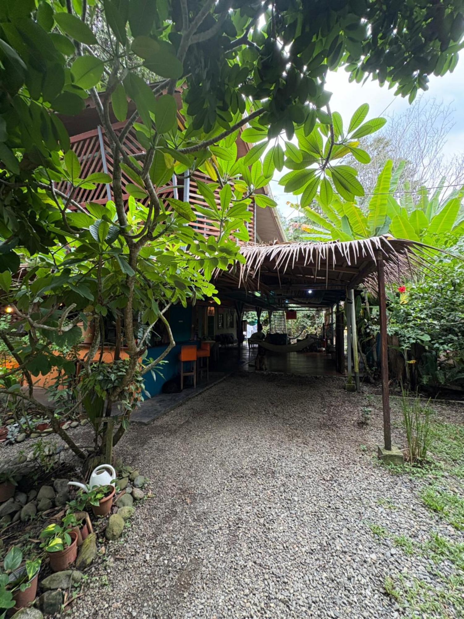 Hotel Orgánico Punta Riel Cahuita Esterno foto