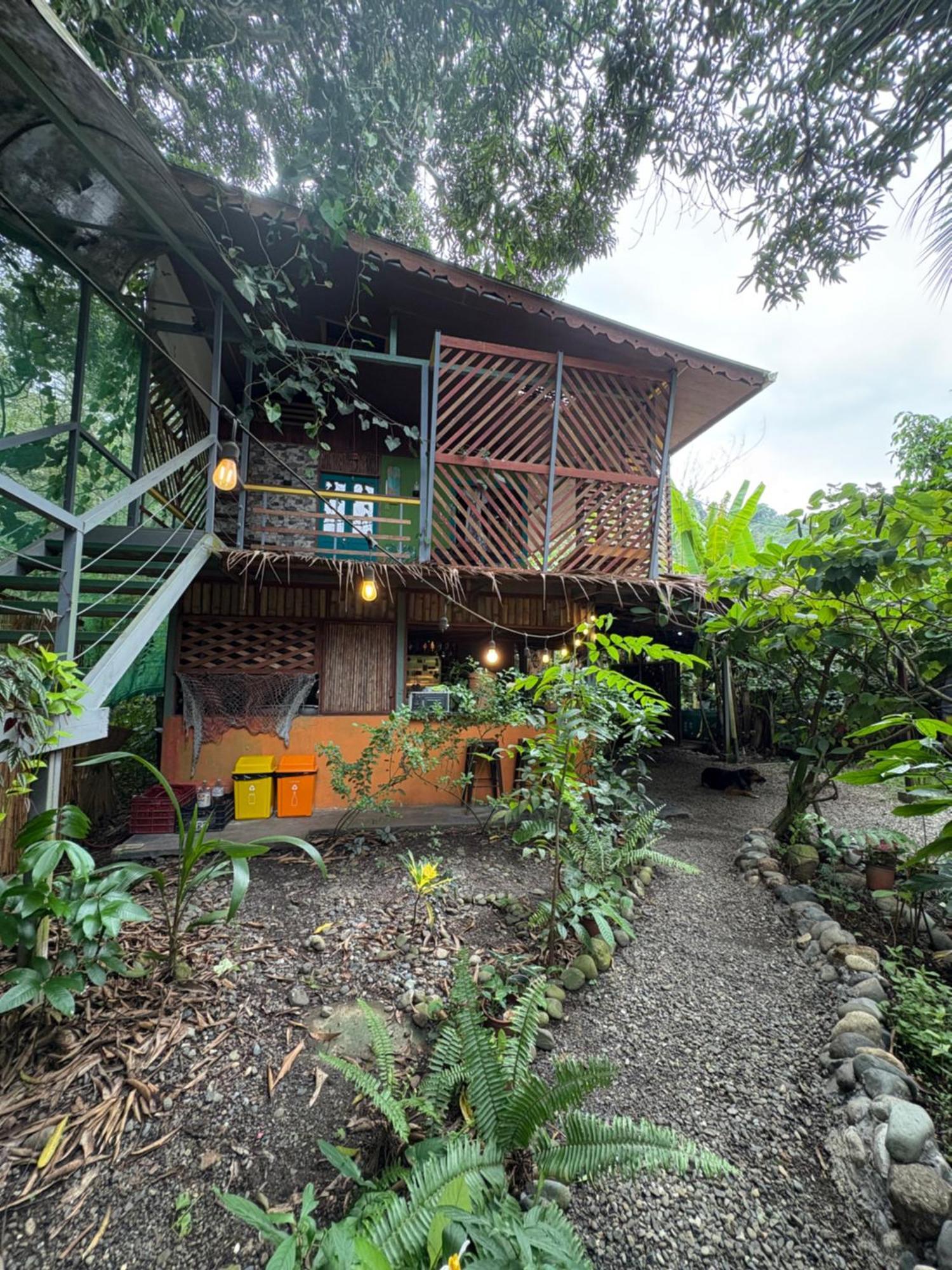 Hotel Orgánico Punta Riel Cahuita Esterno foto