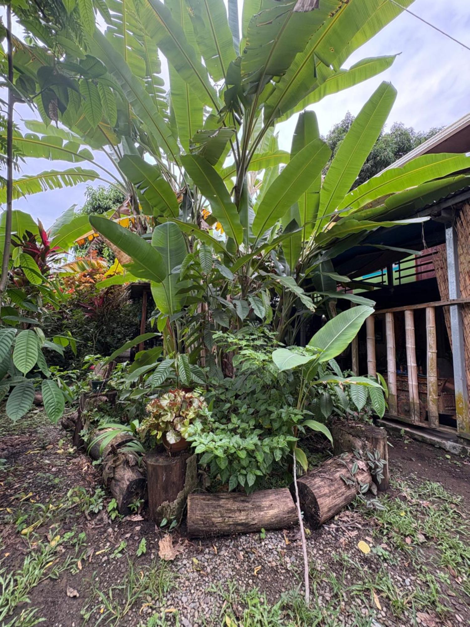 Hotel Orgánico Punta Riel Cahuita Esterno foto