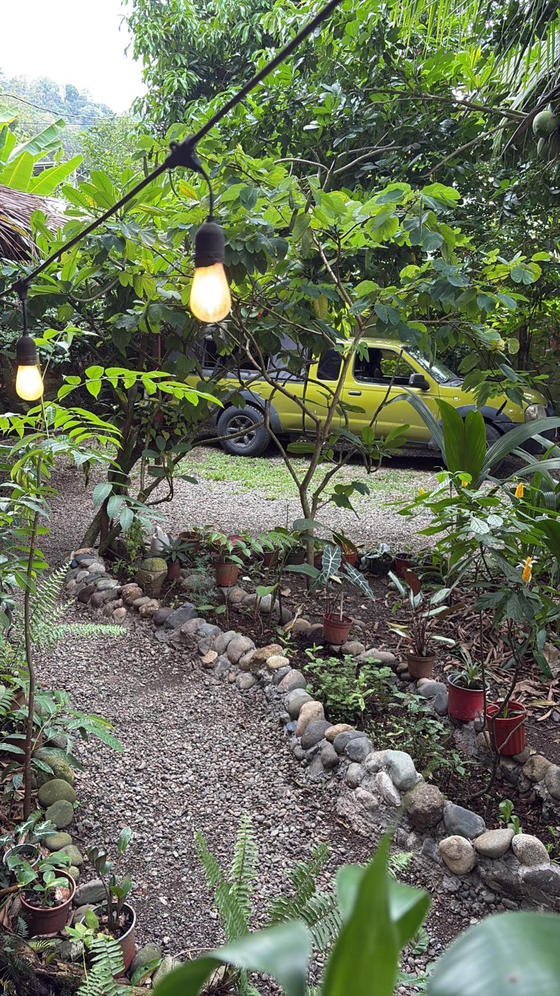 Hotel Orgánico Punta Riel Cahuita Esterno foto