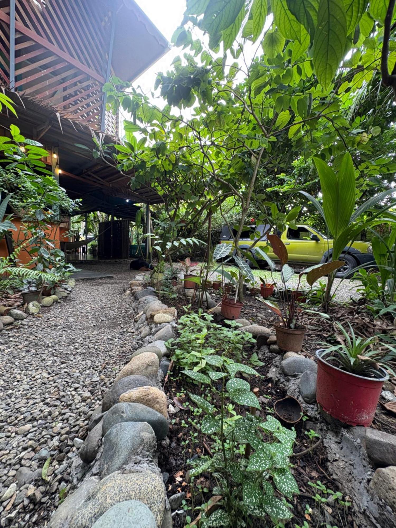 Hotel Orgánico Punta Riel Cahuita Esterno foto