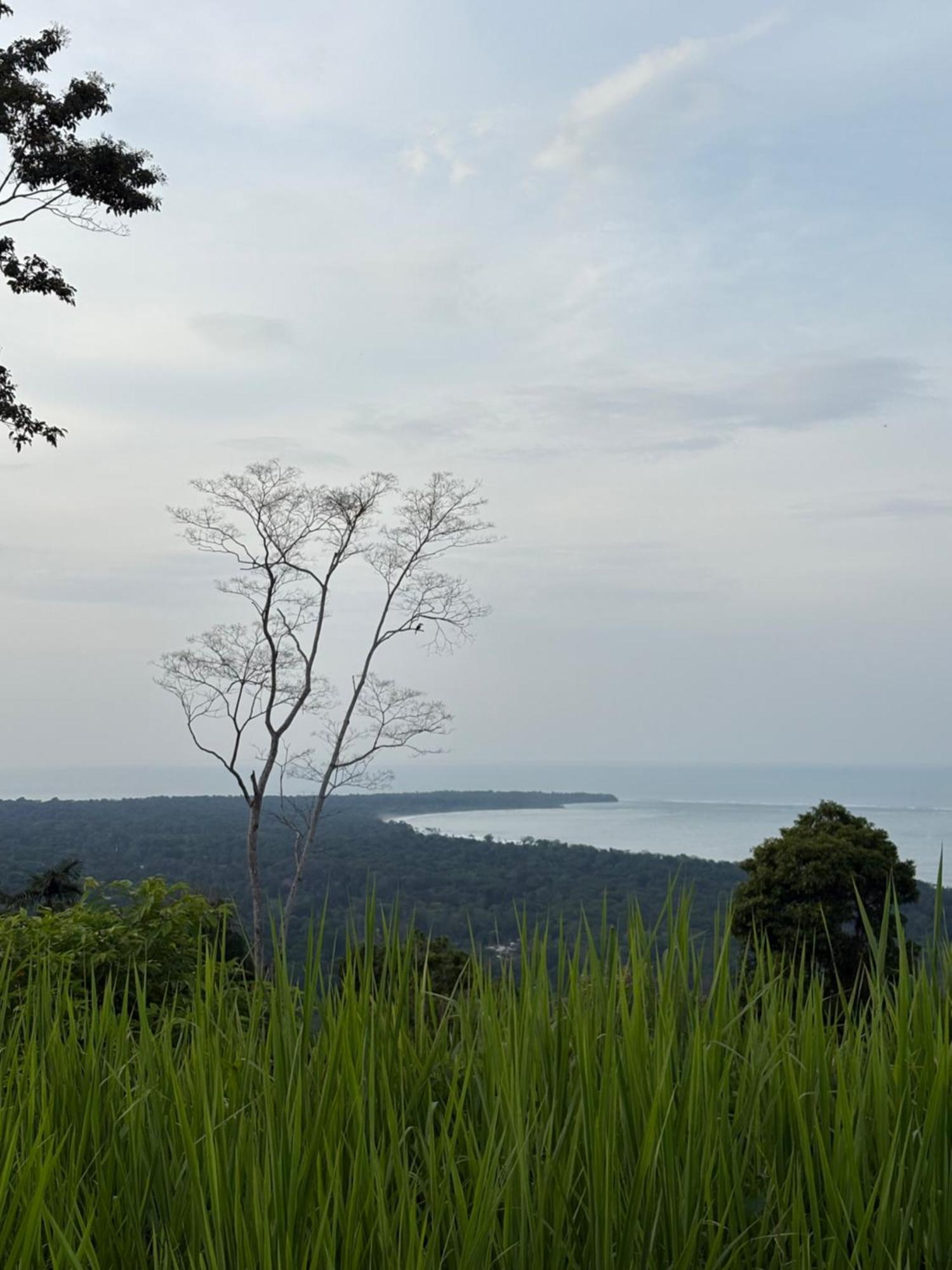 Hotel Orgánico Punta Riel Cahuita Esterno foto
